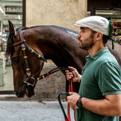 palio 2022-2
